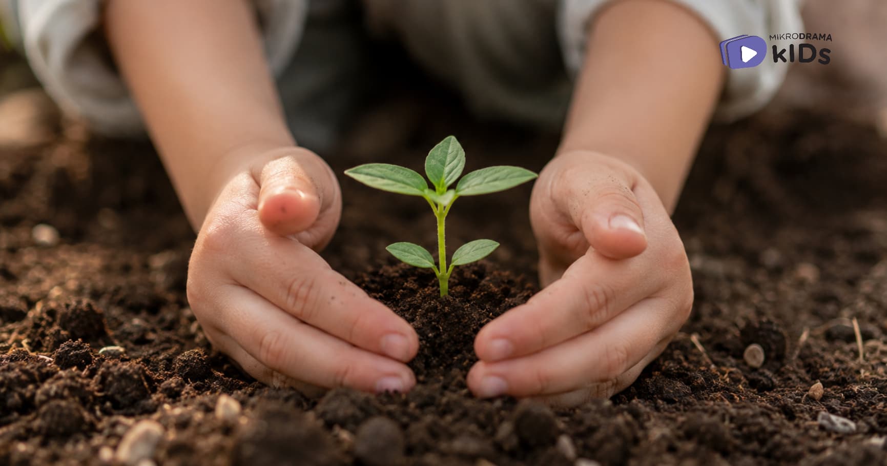 A hand covering a sapling